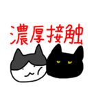 真ん中分けの猫と黒猫（個別スタンプ：4）