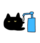 真ん中分けの猫と黒猫（個別スタンプ：5）