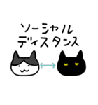真ん中分けの猫と黒猫（個別スタンプ：6）