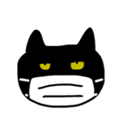 真ん中分けの猫と黒猫（個別スタンプ：8）