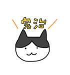 真ん中分けの猫と黒猫（個別スタンプ：9）