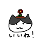 真ん中分けの猫と黒猫（個別スタンプ：18）