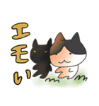 真ん中分けの猫と黒猫（個別スタンプ：37）