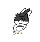 真ん中分けの猫と黒猫（個別スタンプ：39）