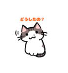 猫の愛ちゃん（個別スタンプ：7）