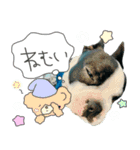 Latte のスタンプ（個別スタンプ：6）