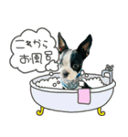 Latte のスタンプ（個別スタンプ：8）