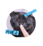 ガッシーねこーずシリーズ⑫まうくま（個別スタンプ：8）