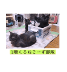 ガッシーねこーずシリーズ⑫まうくま（個別スタンプ：10）