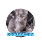 ガッシーねこーずシリーズ⑫まうくま（個別スタンプ：18）