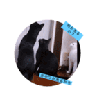 ガッシーねこーずシリーズ⑫まうくま（個別スタンプ：21）