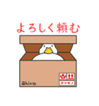 アヒルのチカラ（個別スタンプ：14）