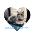 みゅうみゅうの言霊（個別スタンプ：2）
