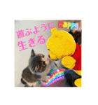 みゅうみゅうの言霊（個別スタンプ：3）