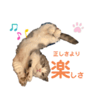 みゅうみゅうの言霊（個別スタンプ：4）
