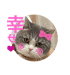 みゅうみゅうの言霊（個別スタンプ：5）