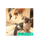 みゅうみゅうの言霊（個別スタンプ：7）