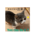みゅうみゅうの言霊（個別スタンプ：9）