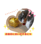みゅうみゅうの言霊（個別スタンプ：10）