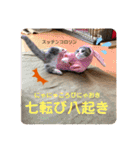 みゅうみゅうの言霊（個別スタンプ：12）
