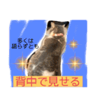 みゅうみゅうの言霊（個別スタンプ：14）