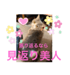 みゅうみゅうの言霊（個別スタンプ：17）
