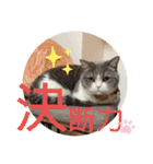 みゅうみゅうの言霊（個別スタンプ：21）