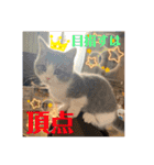 みゅうみゅうの言霊（個別スタンプ：25）