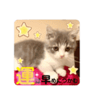 みゅうみゅうの言霊（個別スタンプ：26）