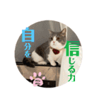 みゅうみゅうの言霊（個別スタンプ：30）