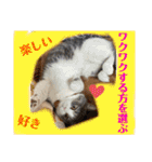 みゅうみゅうの言霊（個別スタンプ：32）