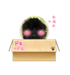 可愛いトイプーくろいぬ♡（個別スタンプ：8）