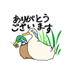 ぐうたらあひると、働く鴨 第二弾（個別スタンプ：16）