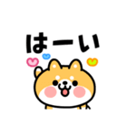 動く！おやじ君と2匹の柴犬（個別スタンプ：6）