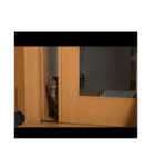 ふきげんなこて（個別スタンプ：5）