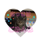 ふきげんなこて（個別スタンプ：6）