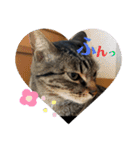 ふきげんなこて（個別スタンプ：8）