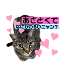ふきげんなこて（個別スタンプ：9）