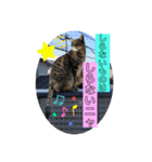 ふきげんなこて（個別スタンプ：14）