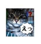 ふきげんなこて（個別スタンプ：15）