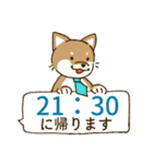 [毎日使える]柴犬むぎ帰宅用スタンプ（個別スタンプ：23）