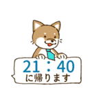 [毎日使える]柴犬むぎ帰宅用スタンプ（個別スタンプ：24）