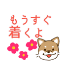 [毎日使える]柴犬むぎ帰宅用スタンプ（個別スタンプ：38）