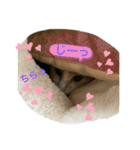 ❤︎ほちゃて❤︎2（個別スタンプ：12）