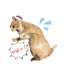 ❤︎ほちゃて❤︎2（個別スタンプ：18）