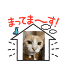 ❤︎ほちゃて❤︎2（個別スタンプ：29）
