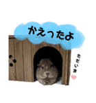 もるちゃんず（個別スタンプ：4）