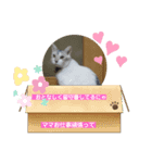 ステキな仲間Love（個別スタンプ：7）