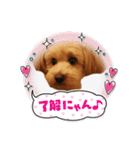 メロスタンプリ〜！（個別スタンプ：7）