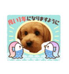 メロスタンプリ〜！（個別スタンプ：8）